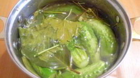 малосольные огурчики в кастрюле