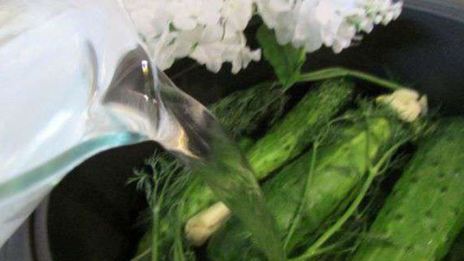 малосольные огурчики в минеральной воде