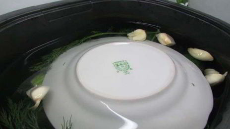 малосольные огурчики в минеральной воде