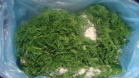 малосольные огурцы без рассола