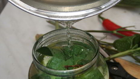 малосольные огурцы горячего засола