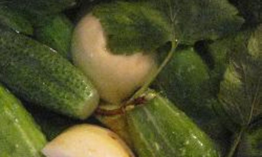 Рецепт малосольные огурцы с яблоками