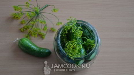 малосольные огурцы в банке