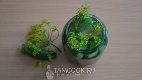 малосольные огурцы в банке