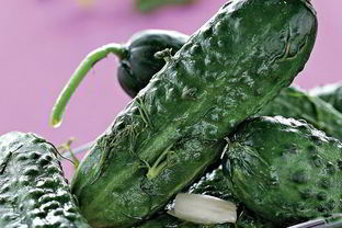 Малосольные огурцы в кастрюле