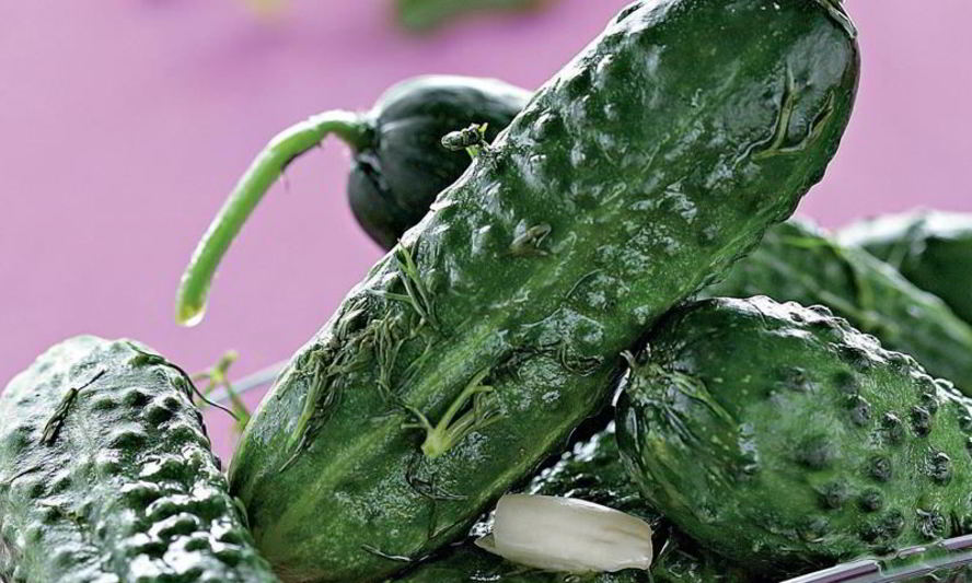 Рецепт малосольные огурцы в кастрюле