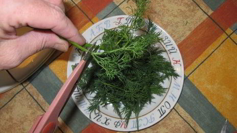 малосольные помидоры, фаршированные укропом и чесноком