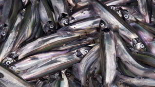 Мойва пряного посола