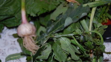 огурцы малосольные фирменные