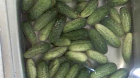 огурцы малосольные с эстрагоном