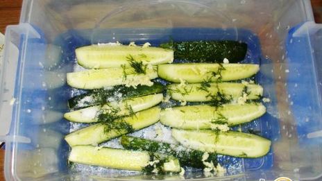 огурцы малосольные