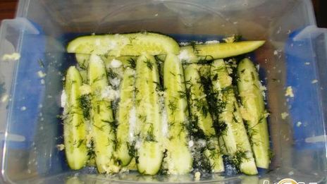 огурцы малосольные