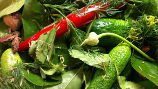 Острые малосольные огурцы на водке