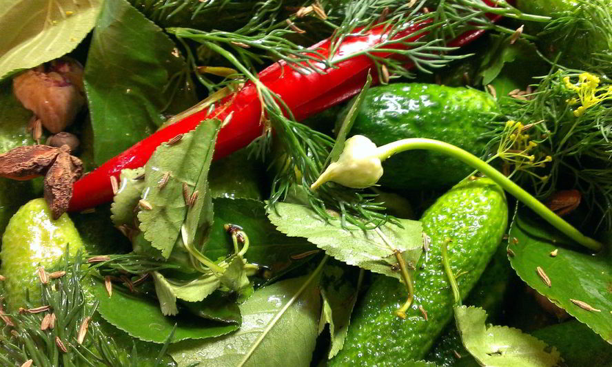 Рецепт острые малосольные огурцы на водке