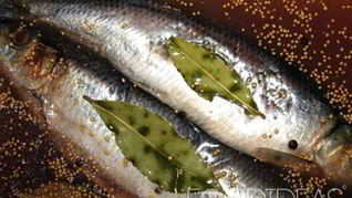 Соленая сельдь