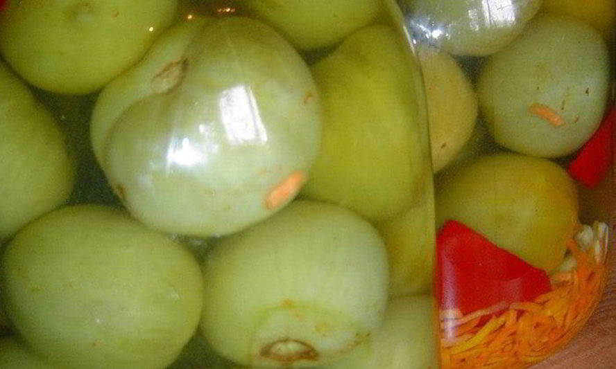 Рецепт зеленые помидоры
