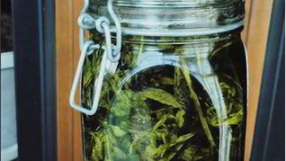 Мятное варенье