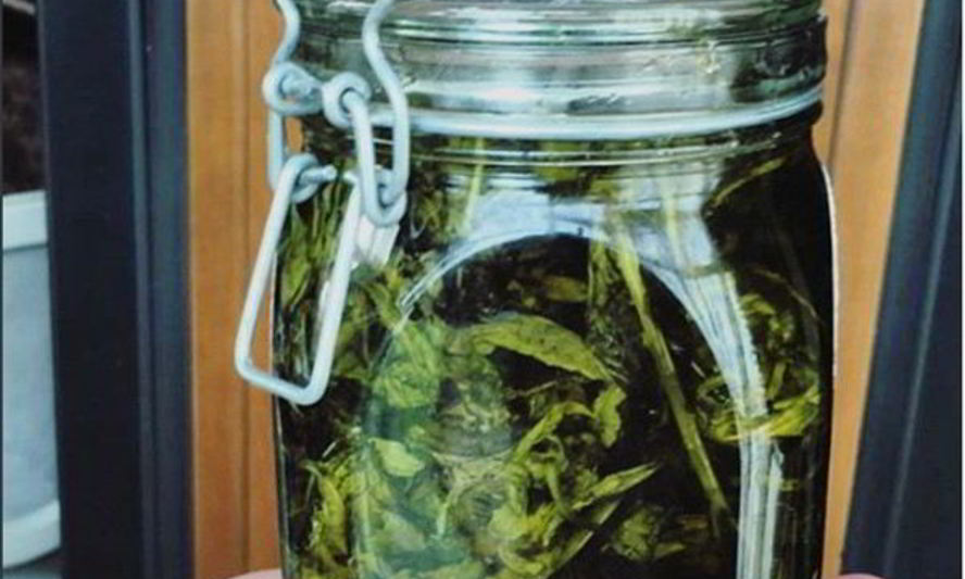 Рецепт мятное варенье