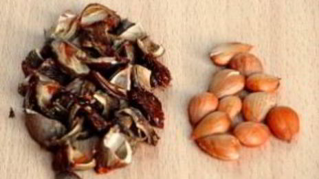 варенье из абрикосов с косточками