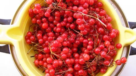 варенье из калины на зиму