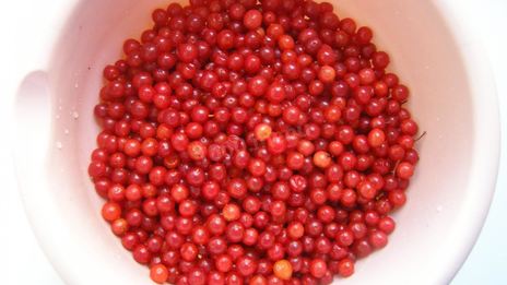 варенье из калины на зиму