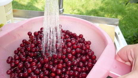 варенье из красной черемухи