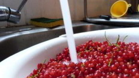 варенье из красной смородины