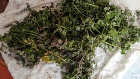 варенье из мяты