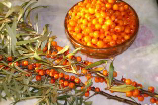 Варенье из облепихи замороженной