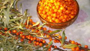 Варенье из облепихи замороженной