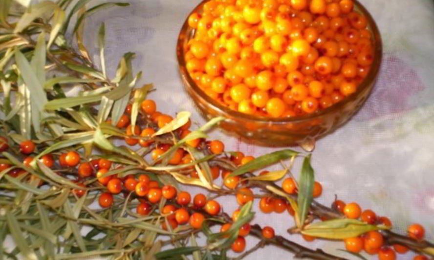 Рецепт варенье из облепихи замороженной