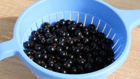 варенье желе из черной смородины на зиму