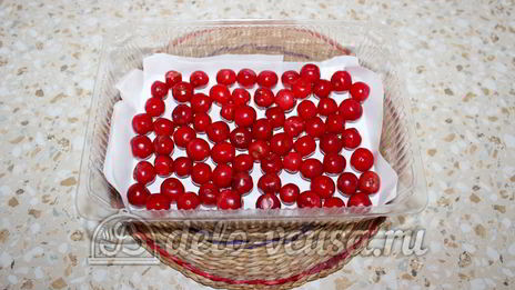 вишня на зиму