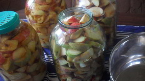 заготовка яблочного сока без соковыжималки