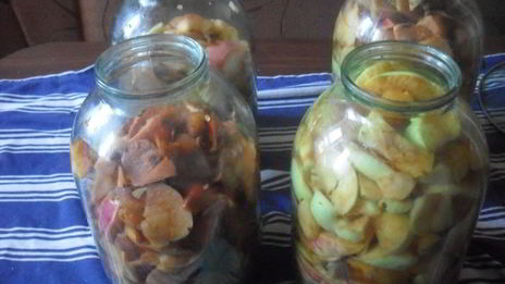 заготовка яблочного сока без соковыжималки