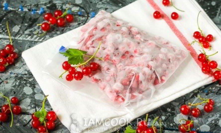 Рецепт заморозка красной смородины на зиму