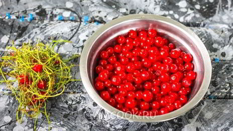 заморозка красной смородины на зиму