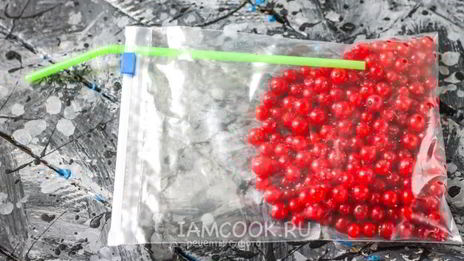 заморозка красной смородины на зиму