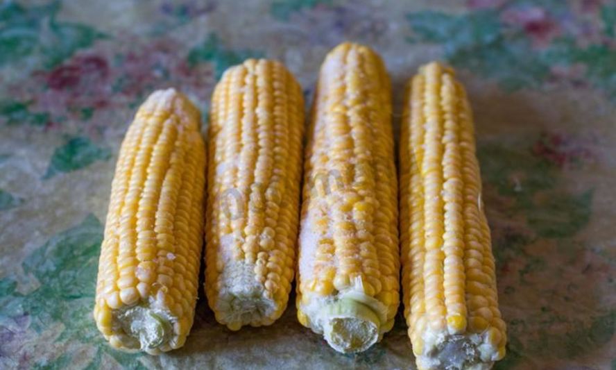 Рецепт заморозка кукурузы на зиму в початках