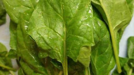 заморозка шпината на зиму