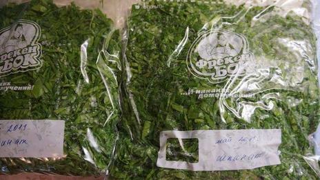 заморозка шпината на зиму