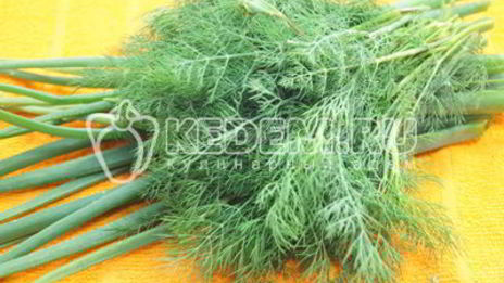 заморозка зелени на зиму