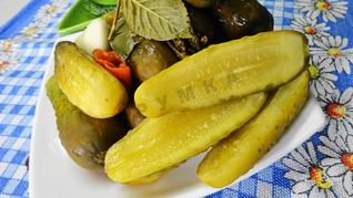 Засолка бочковых огурцов на зиму