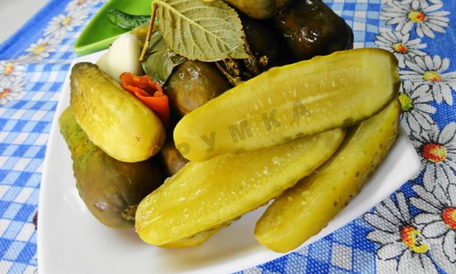 Рецепт засолка бочковых огурцов на зиму