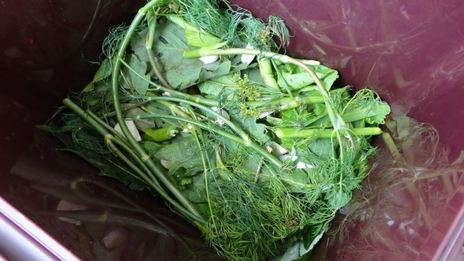 засолка бочковых огурцов на зиму