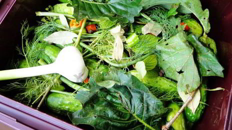 засолка бочковых огурцов на зиму