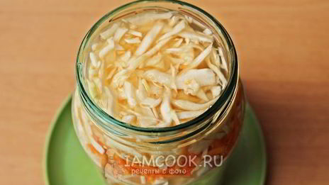 засолка капусты на зиму в банках