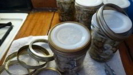 жареные белые грибы на зиму