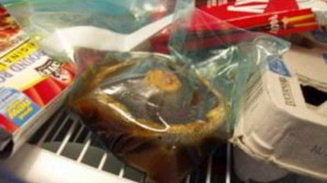 бургер веган портобелло