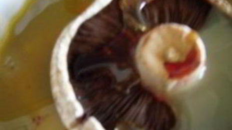 бургер веган портобелло